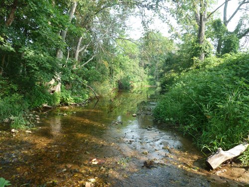 Property photo 5 - 480+/- Acres Offered in 6 Tracts
